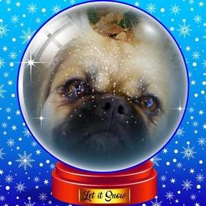 Meet your Posher, Teresa